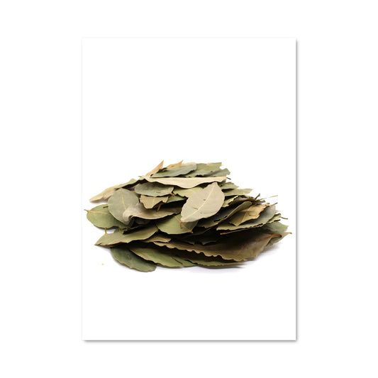 Poster Feuilles de Laurier