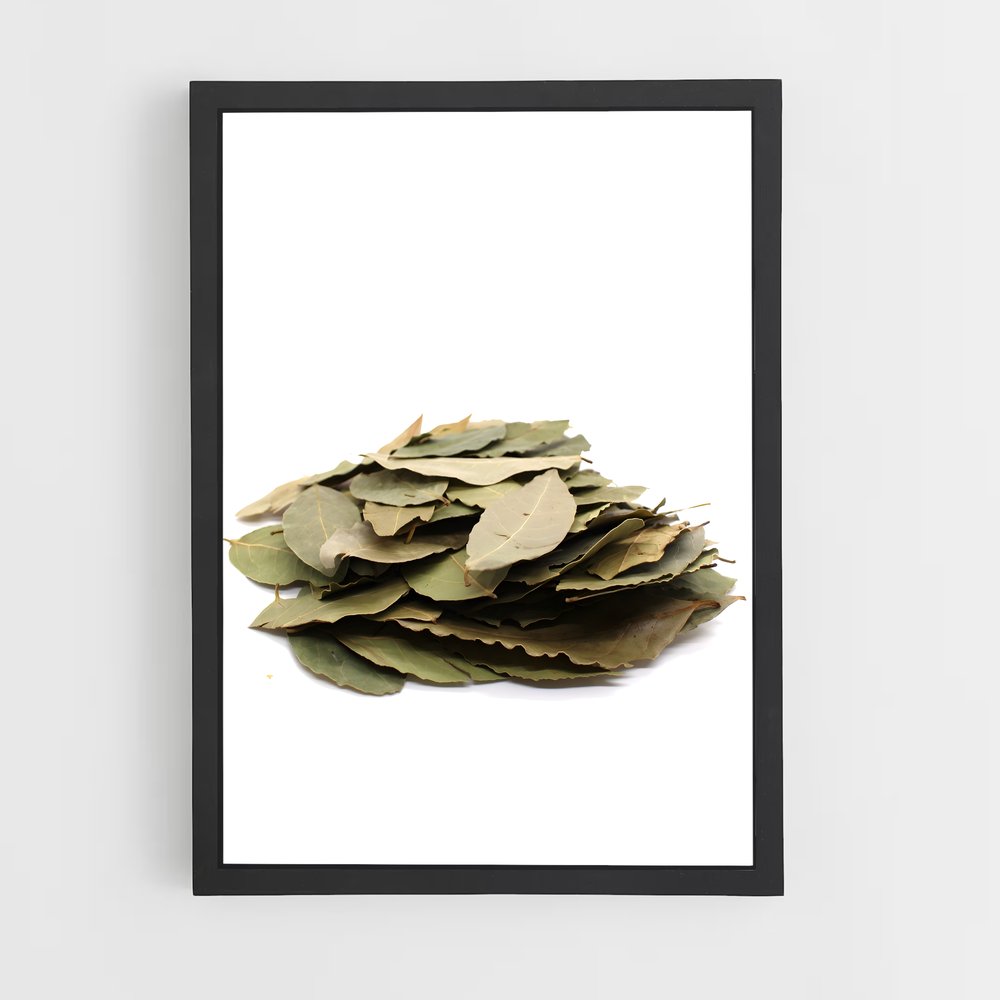 ap-bay leaves-4 cadre Noir