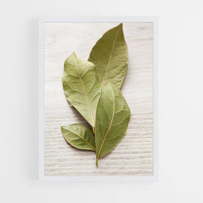ap-bay leaves-6 cadre Blanc