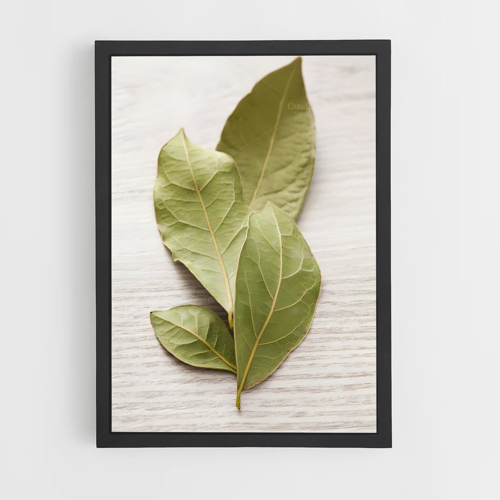 ap-bay leaves-6 cadre Noir