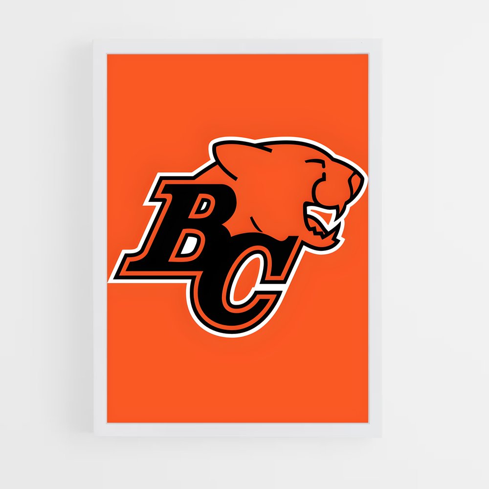 ap-bc lions-1 cadre Blanc