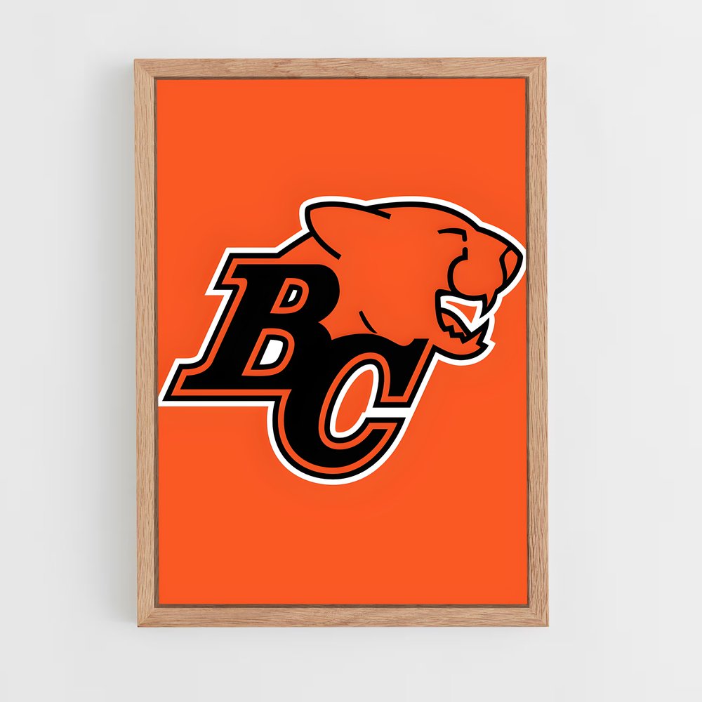 ap-bc lions-1 cadre Bois clair