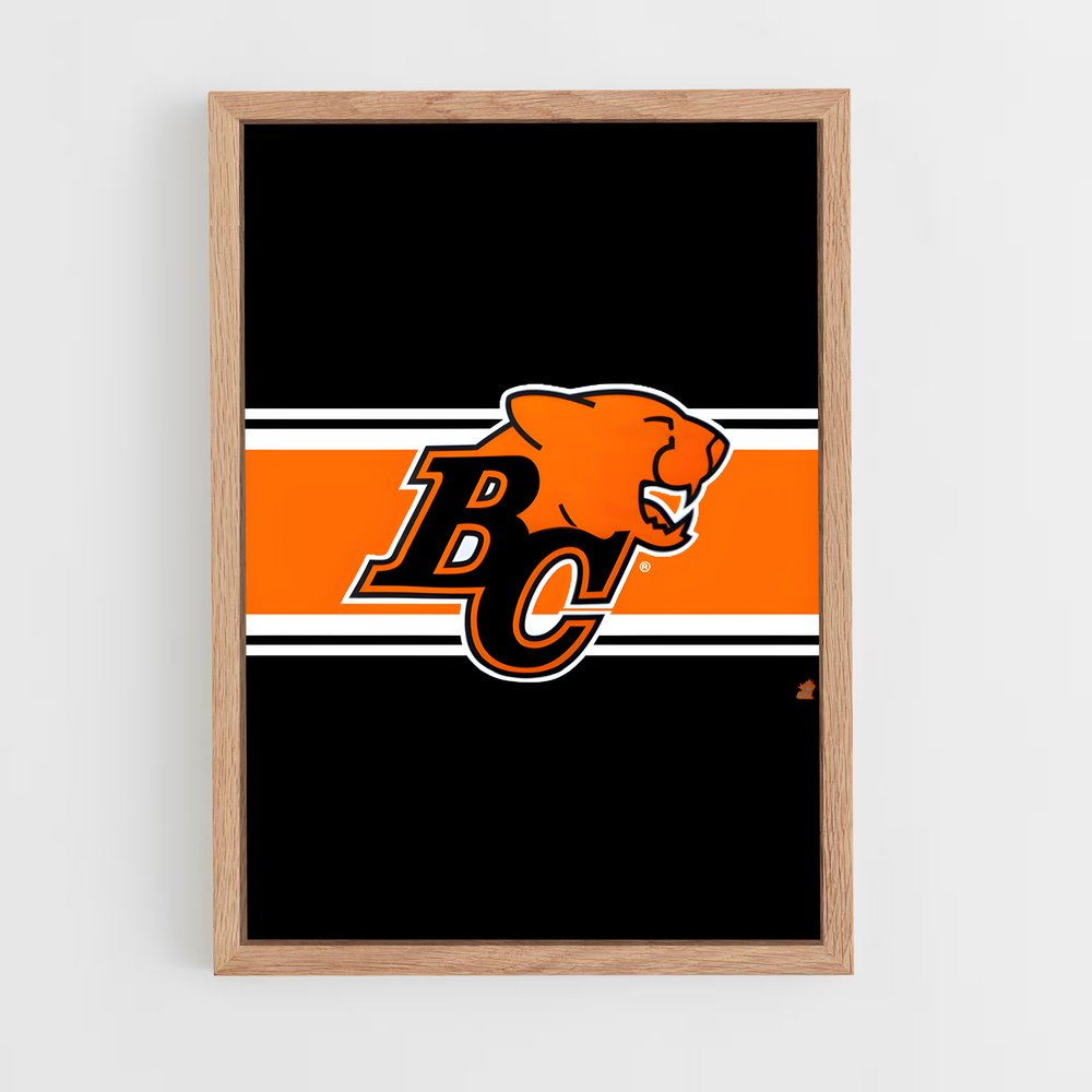 ap-bc lions-4 cadre Bois clair