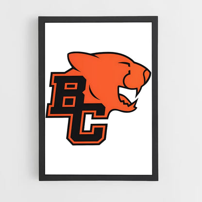ap-bc lions-5 cadre Noir