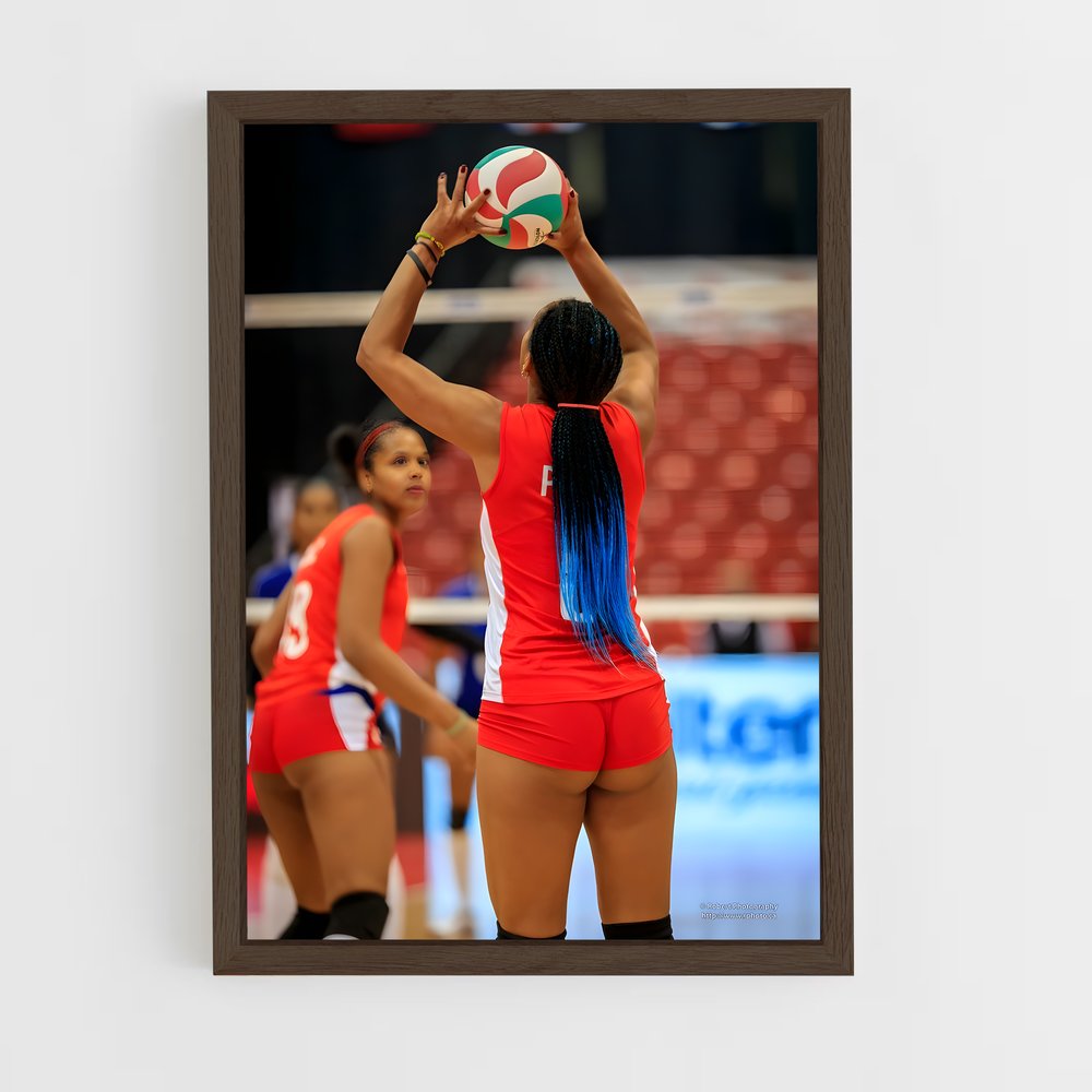 ap-beach volleyball nations cup-5 cadre Bois foncé