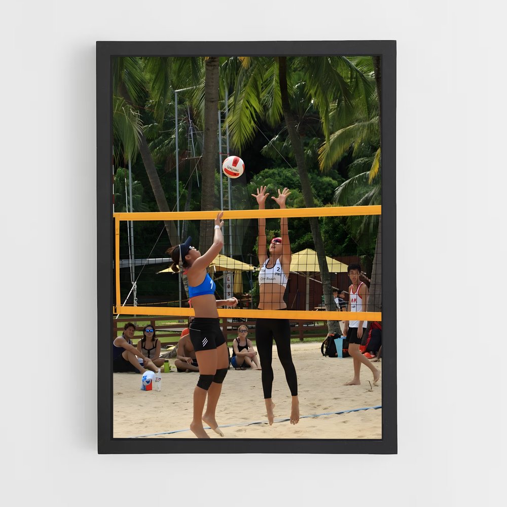 ap-beach volleyball nations cup-6 cadre Noir