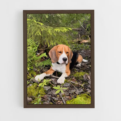 ap-beagle-2 cadre Bois foncé