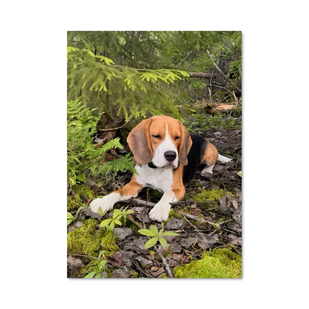 Poster Beagle en Forêt