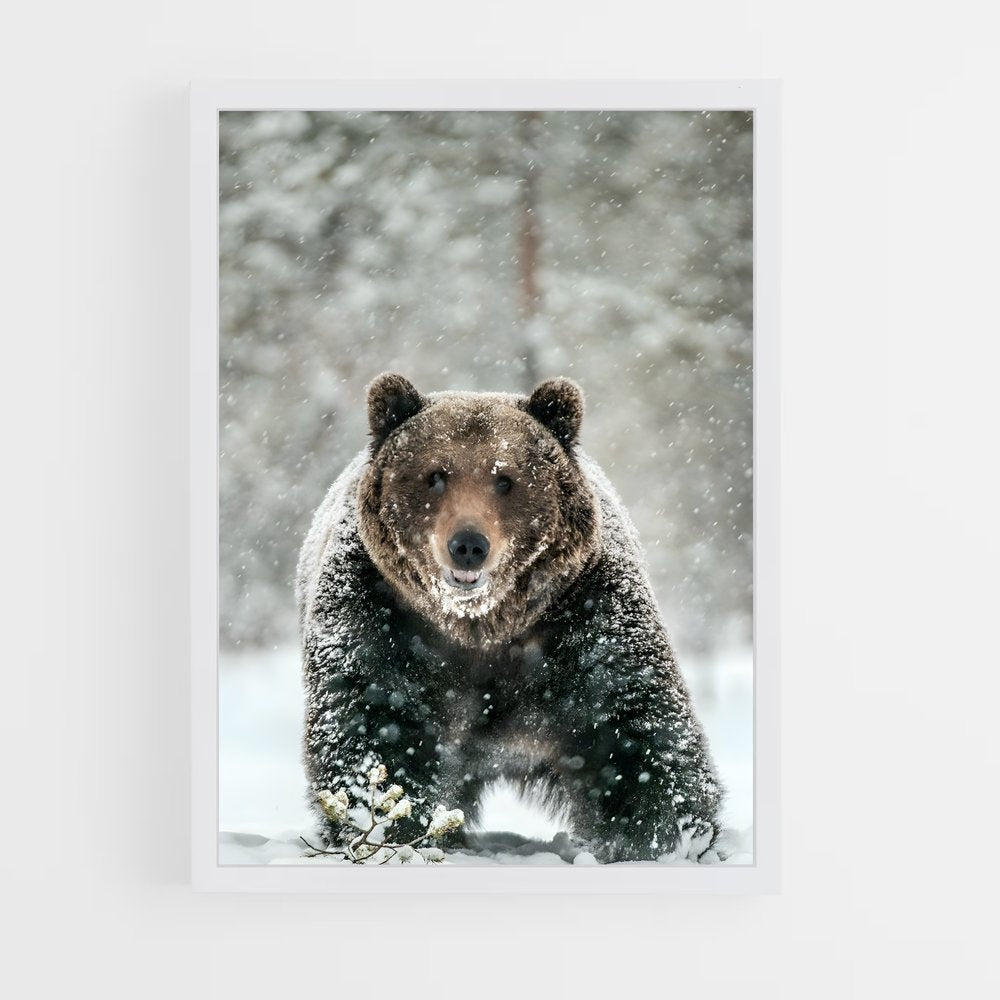 ap-bear-11 cadre Blanc