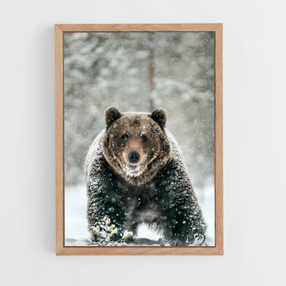 ap-bear-11 cadre Bois clair