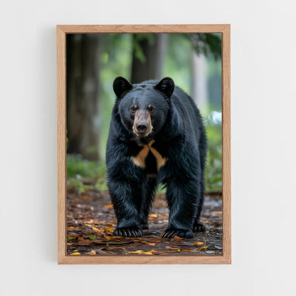ap-bear-12 cadre Bois clair