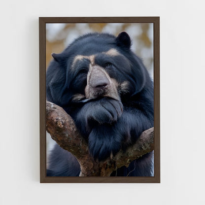 ap-bear-14 cadre Bois foncé