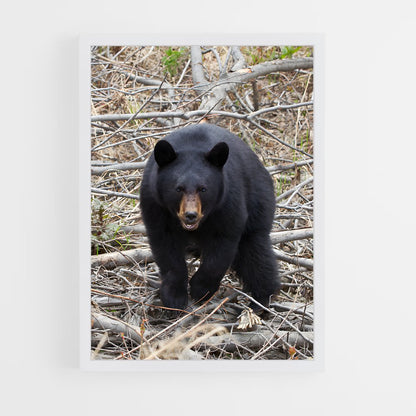 ap-bear-2 cadre Blanc