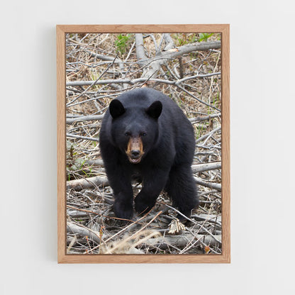 ap-bear-2 cadre Bois clair
