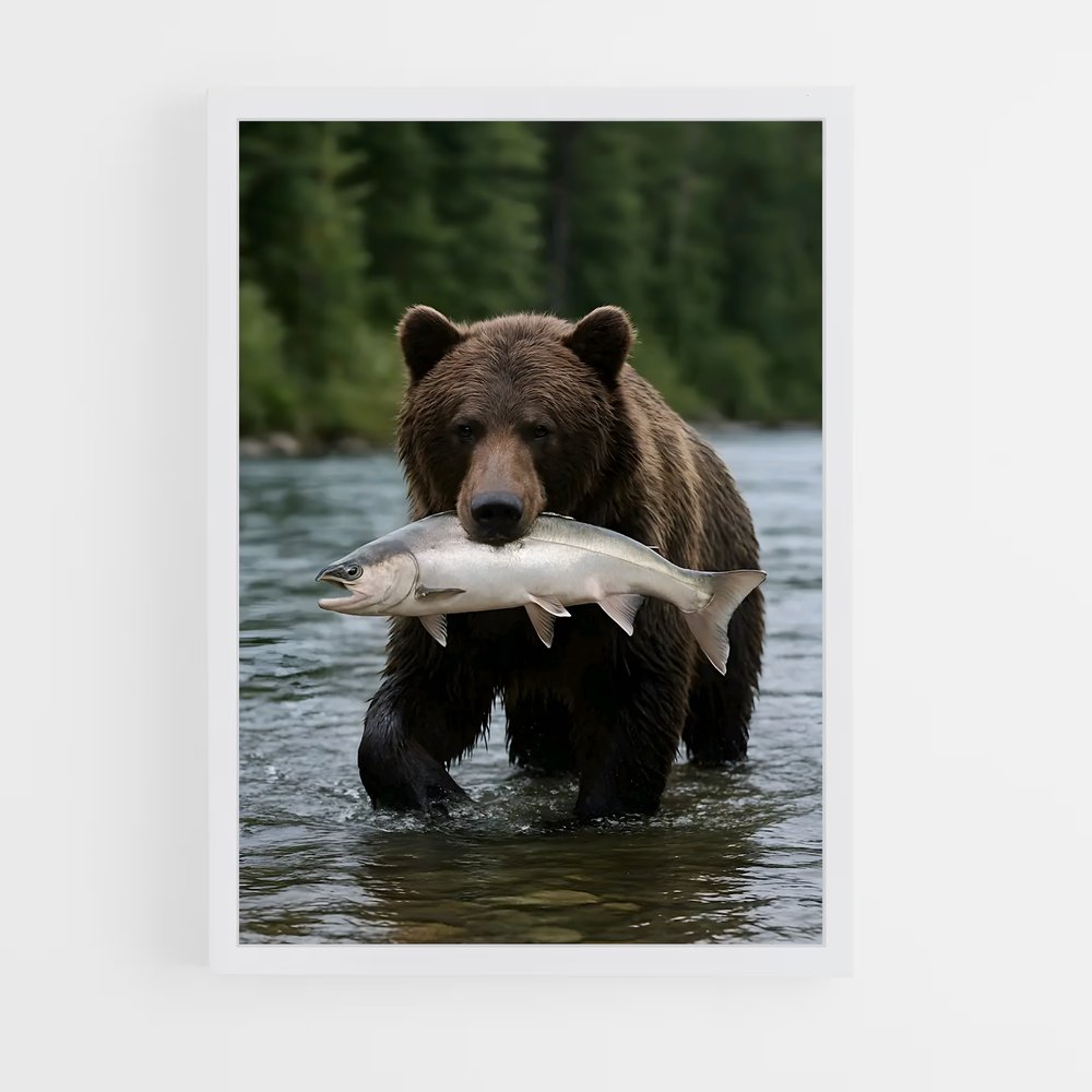 ap-bear-4 cadre Blanc