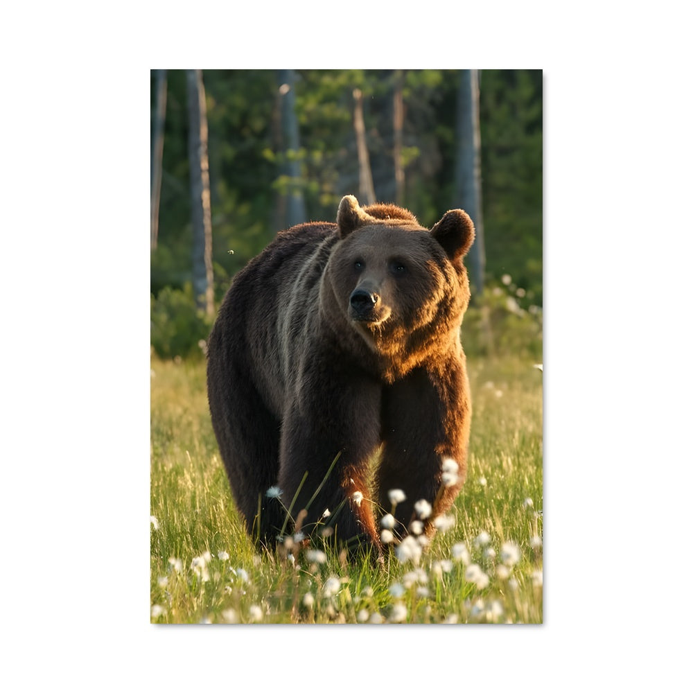 Poster Bear en Fleurs