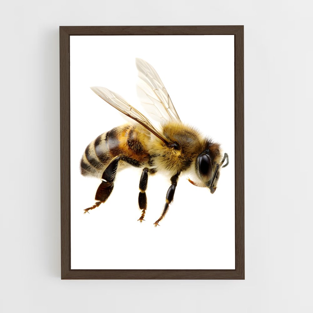 ap-bee-1 cadre Bois foncé