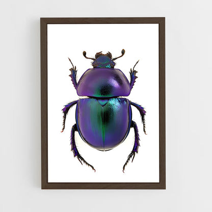 ap-beetle-1 cadre Bois foncé