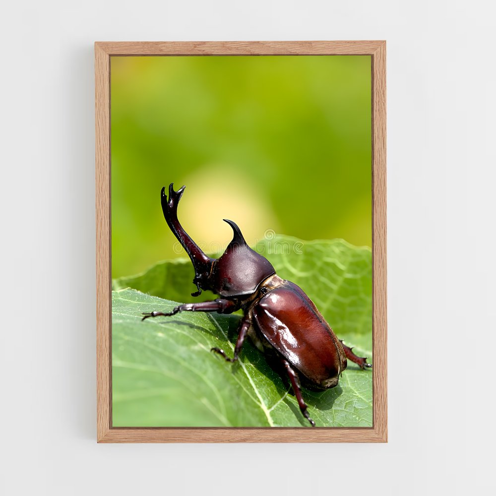 ap-beetle-2 cadre Bois clair