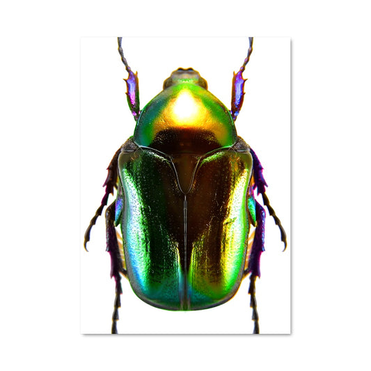 Poster Scarabée Mystique