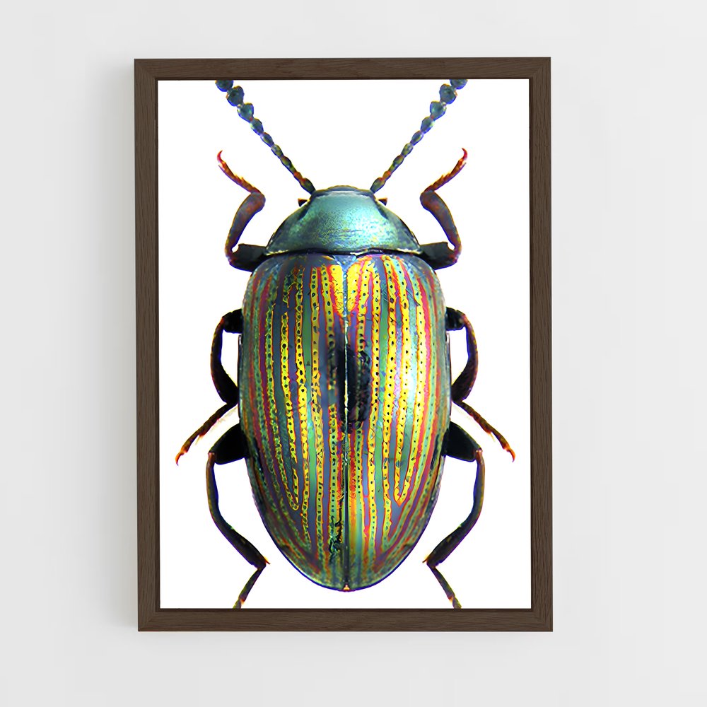 ap-beetle-6 cadre Bois foncé