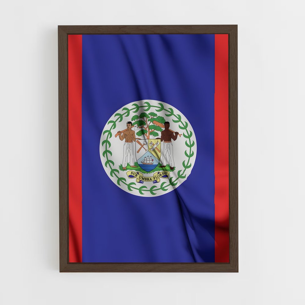 ap-belize flag-1 cadre Bois foncé