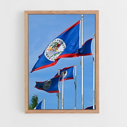 ap-belize flag-3 cadre Bois clair