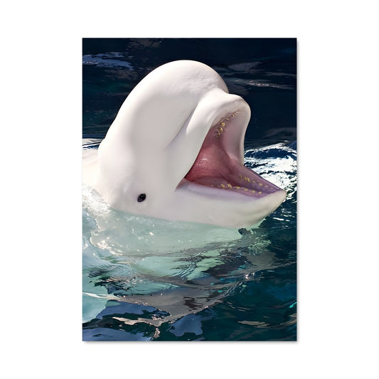 Poster Le Chant des Belugas