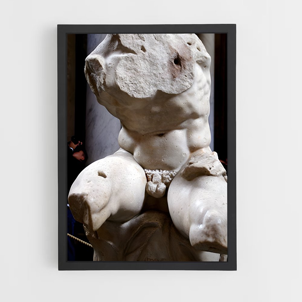 ap-belvedere torso-1 cadre Noir