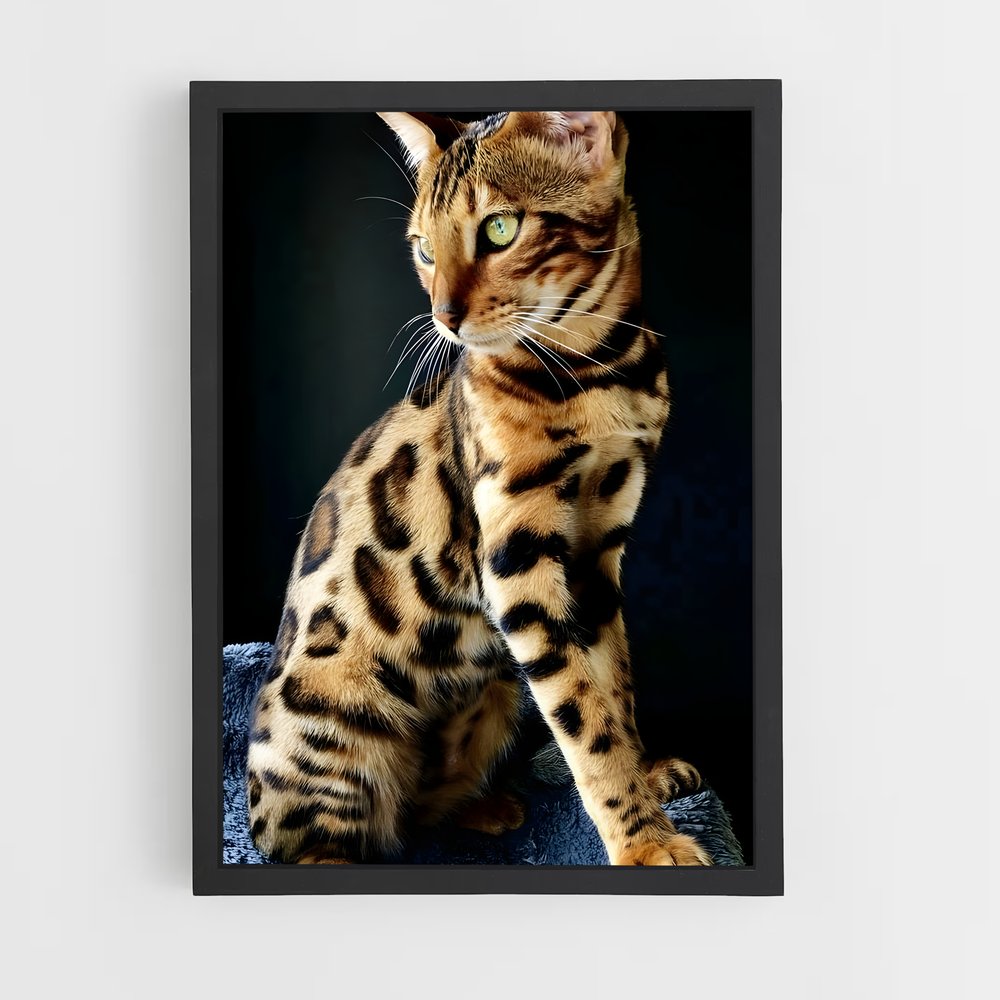 ap-bengal-6 cadre Noir