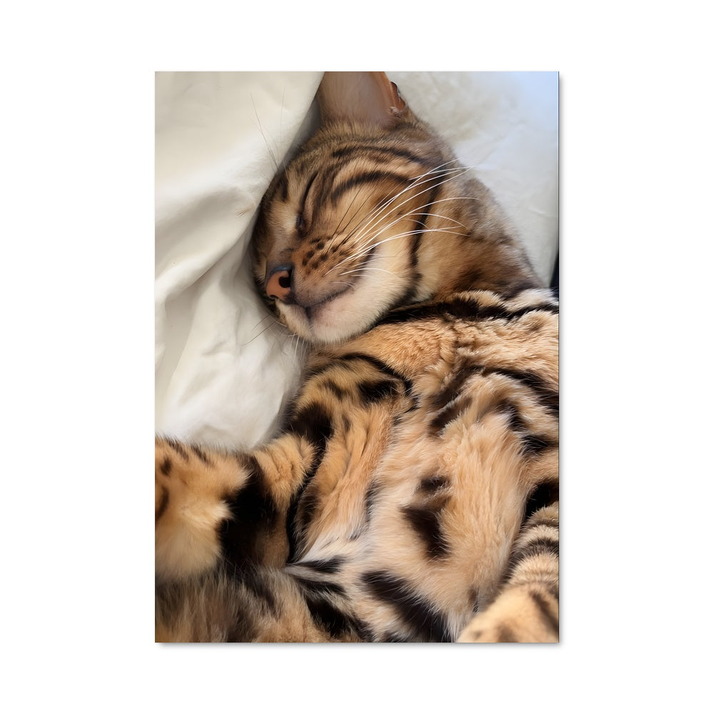 Poster Rêves Félins