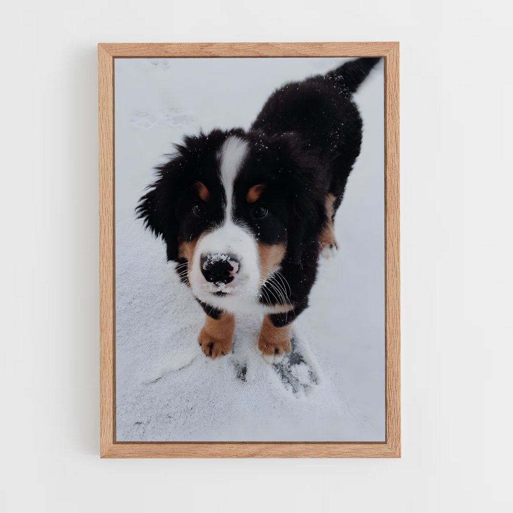 ap-bernese mountain dog-1 cadre Bois clair