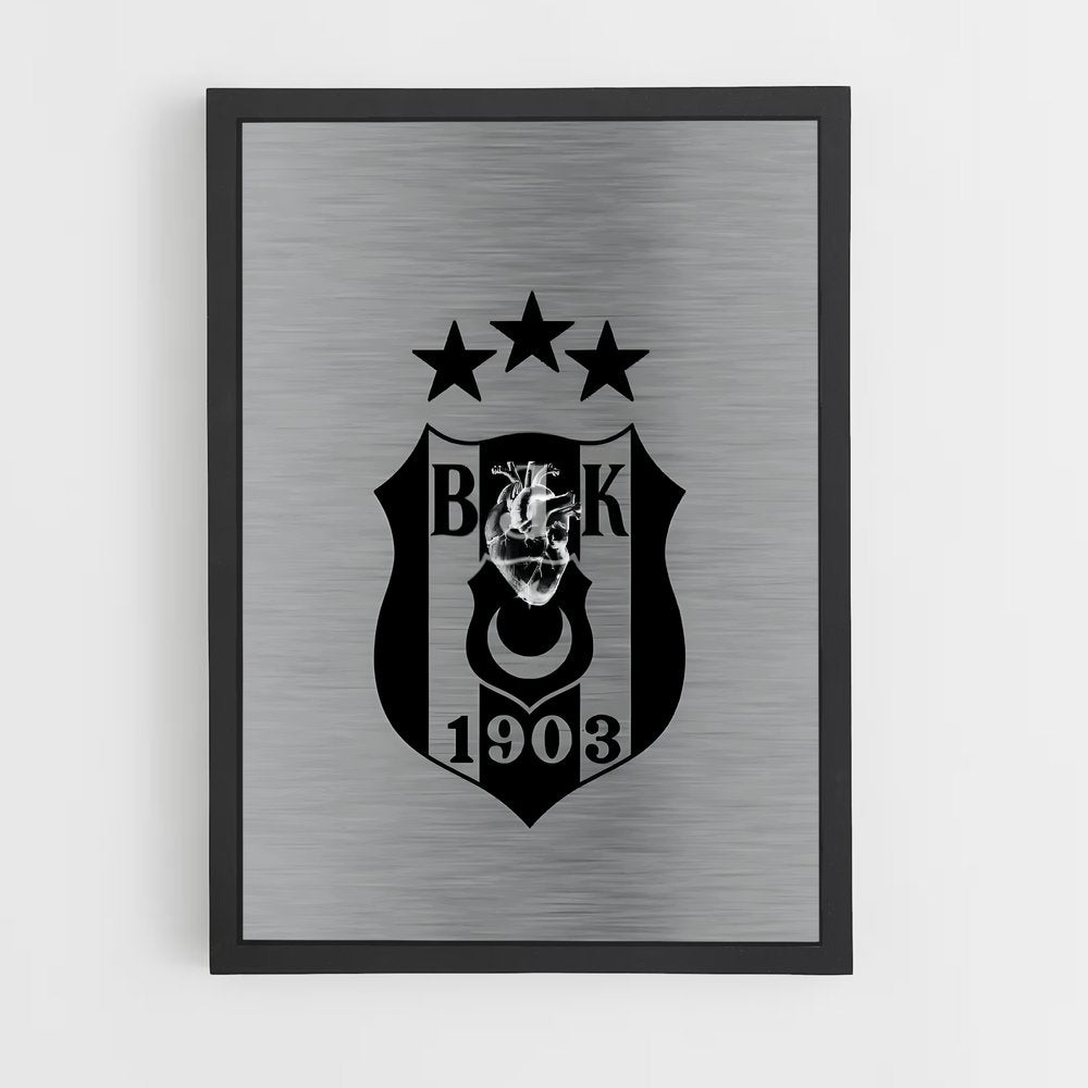 ap-besiktas jk-2 cadre Noir