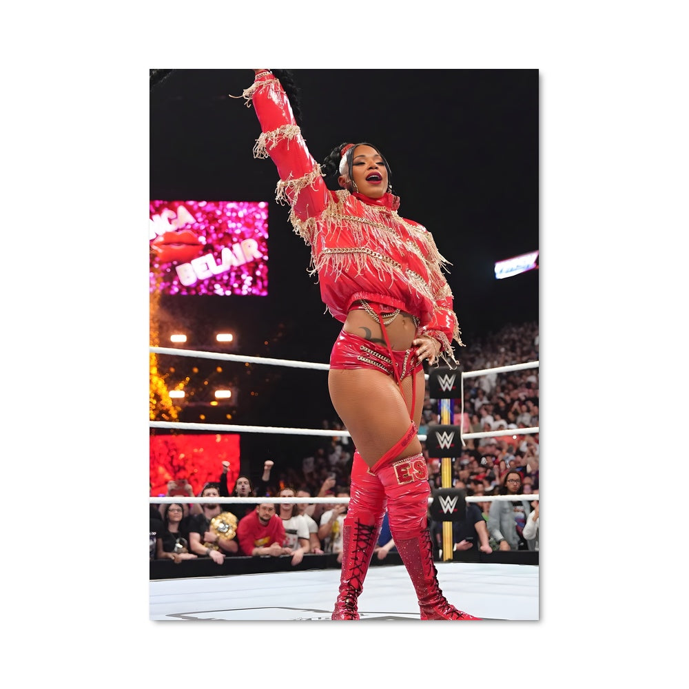 Poster Diva de la WWE