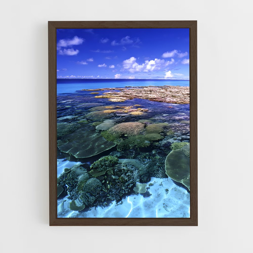 ap-bikini atoll-2 cadre Bois foncé