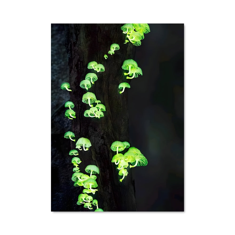 Poster Bioluminescent mushroom 94179