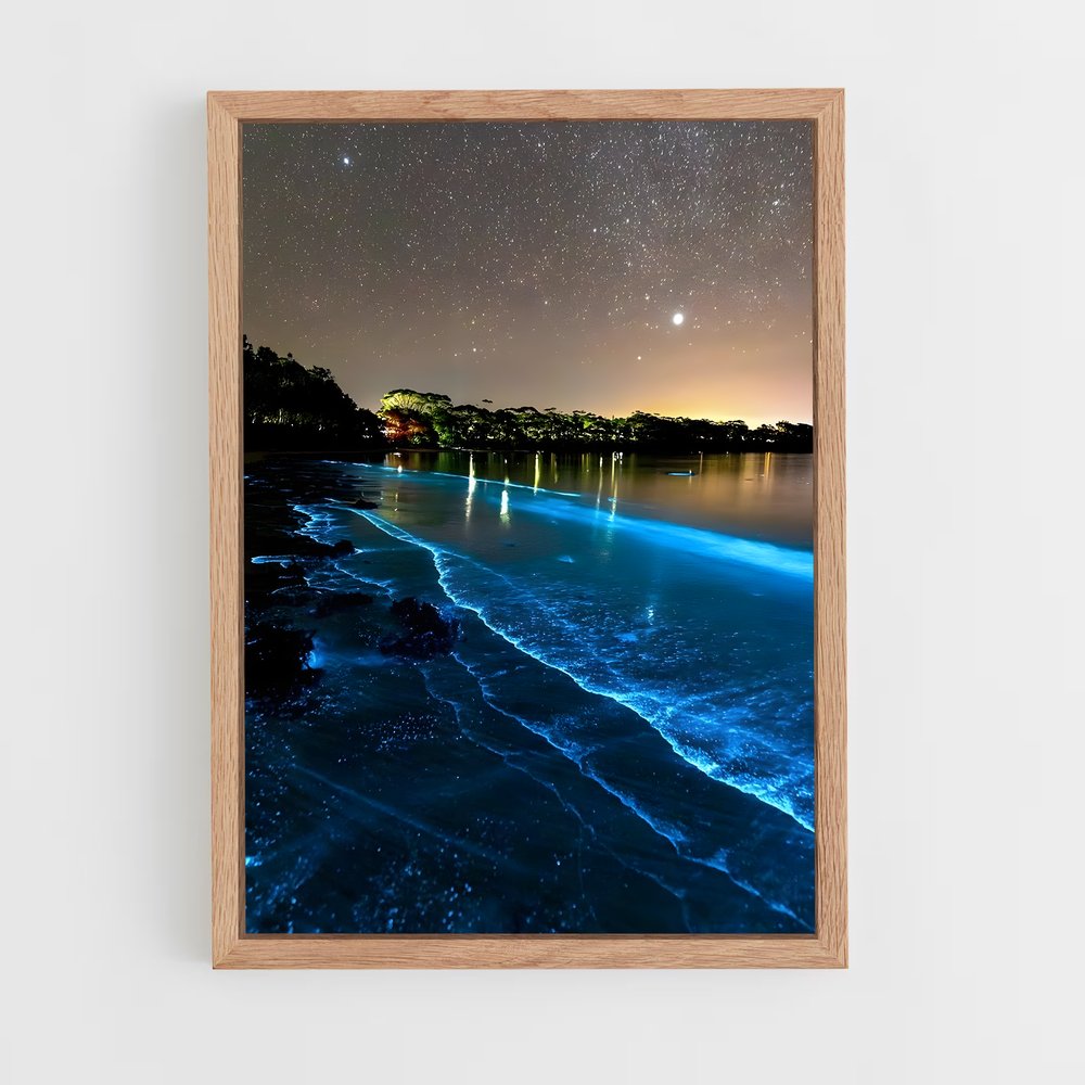 ap-bioluminescent beaches-19 cadre Bois clair
