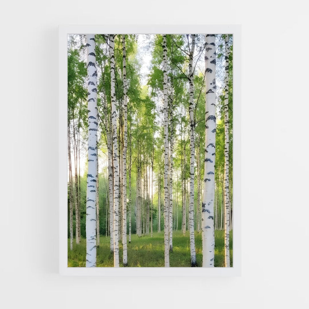 ap-birch-8 cadre Blanc