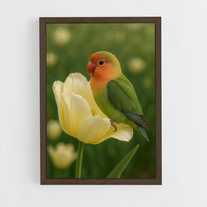 ap-bird-9 cadre Bois foncé