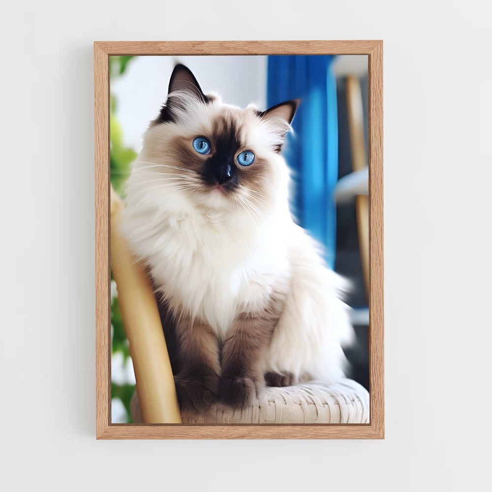 ap-birman-1 cadre Bois clair