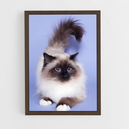 ap-birman-2 cadre Bois foncé