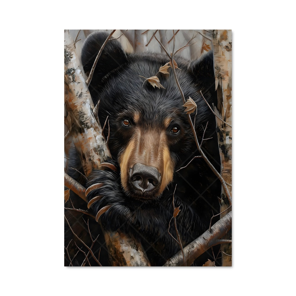 Poster L'Ours Équilibriste