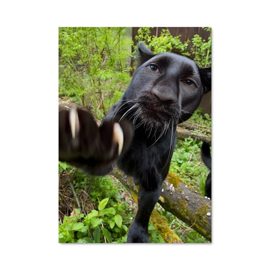 Poster Black panther 83160