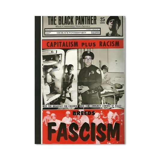 Poster Black panther party 14650