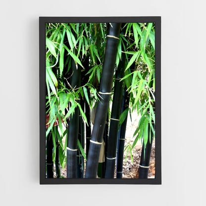 ap-black bamboo-2 cadre Noir