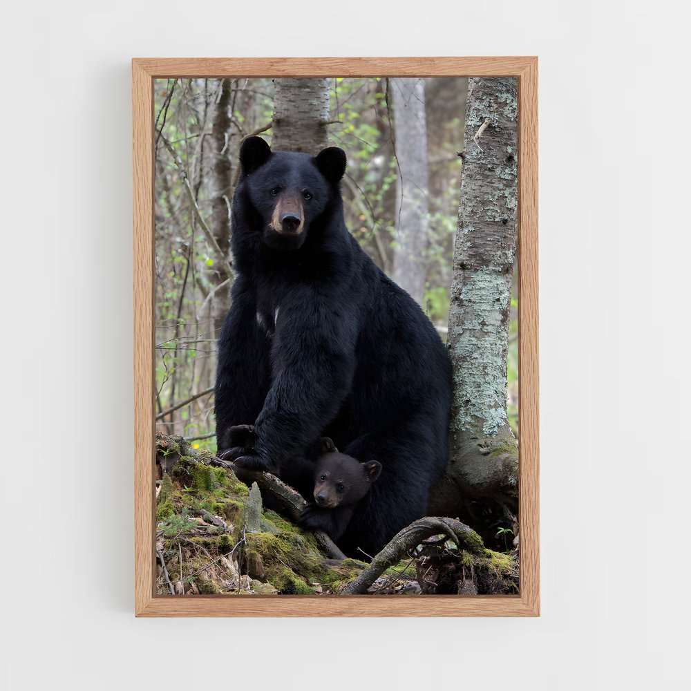 ap-black bear-1 cadre Bois clair
