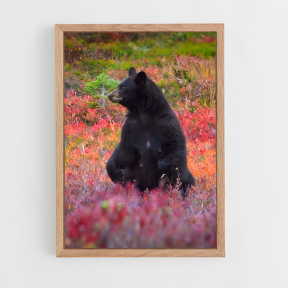 ap-black bear-3 cadre Bois clair