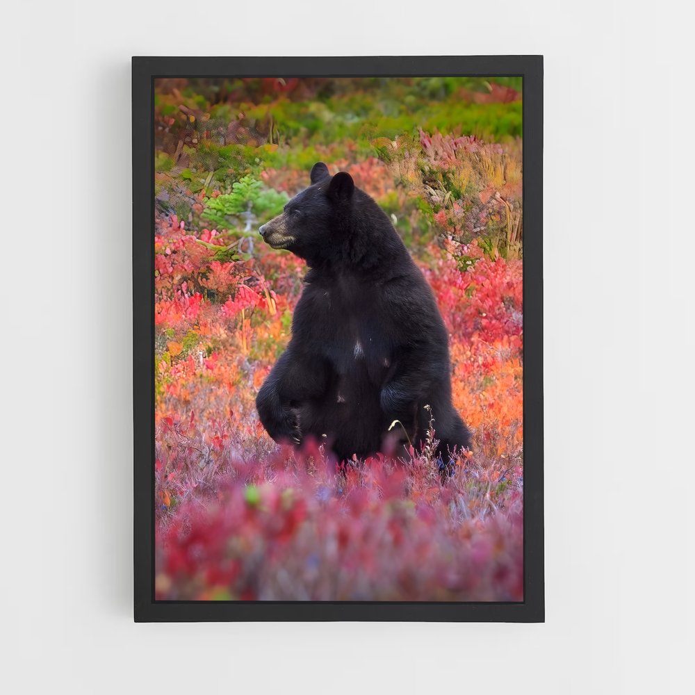 ap-black bear-3 cadre Noir