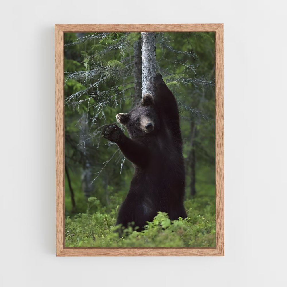 ap-black bear-4 cadre Bois clair