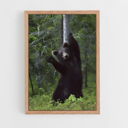 ap-black bear-4 cadre Bois clair